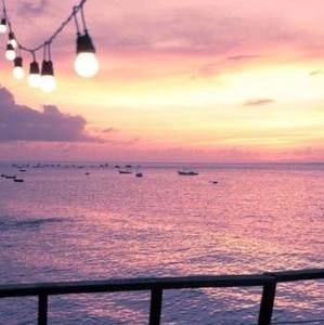 Meet your Posher, Annie